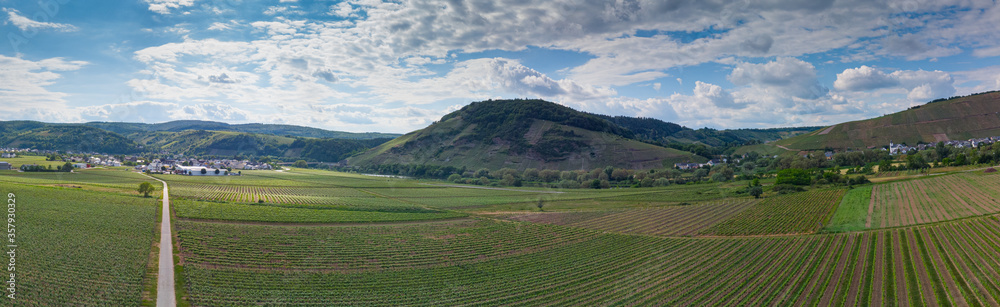 With the bike on the cycle path through the countryside along the river Moselle in Rhineland-Palatinate from Trier to Koblenz in summer With the bike on the cycle path through the countryside along the river Moselle in Rhineland-Palatinate from Trier to Koblenz in summer