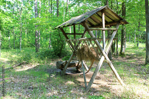 Feeder with hay and salt for wild animals in forest