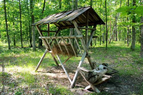 Feeder with hay and salt for wild animals in forest