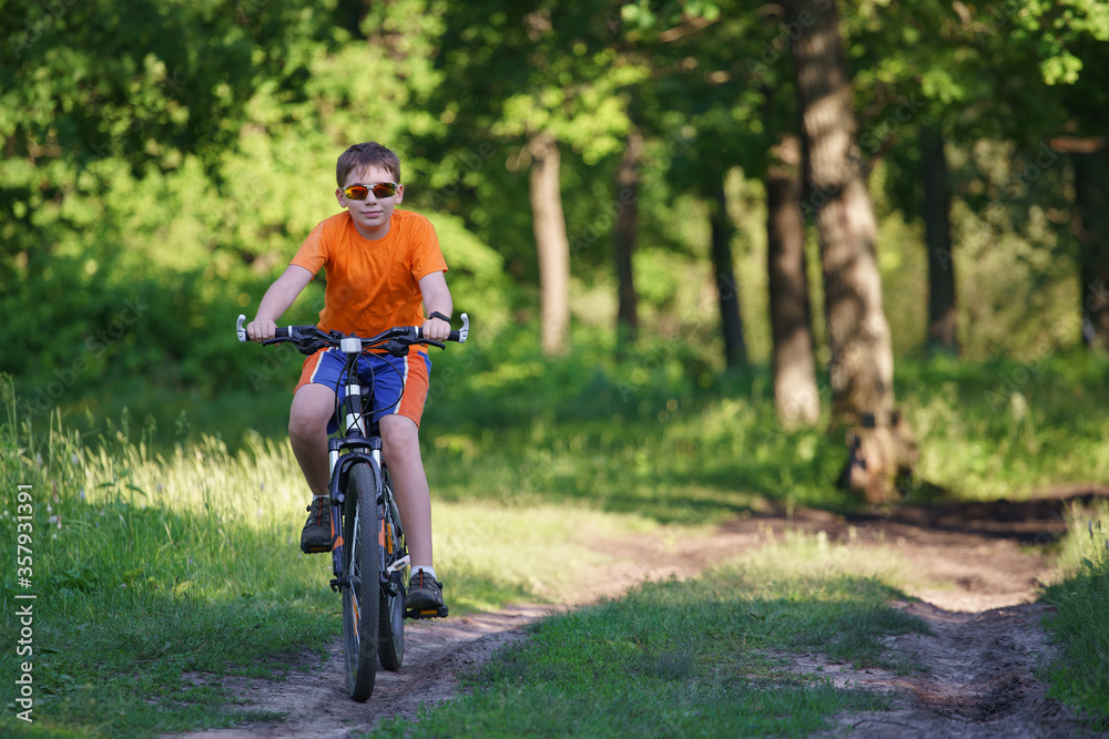 Fototapeta premium A child walks on a bicycle through the summer forest. Copyspace