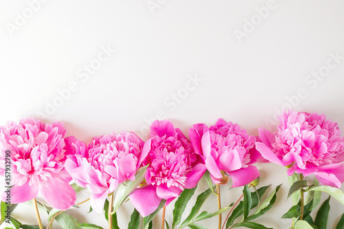 Bright fresh pink peonies lie on a light background. Copyspace, top view. The concept of a holiday, birthday, Valentine's Day, gift, declaration of love.