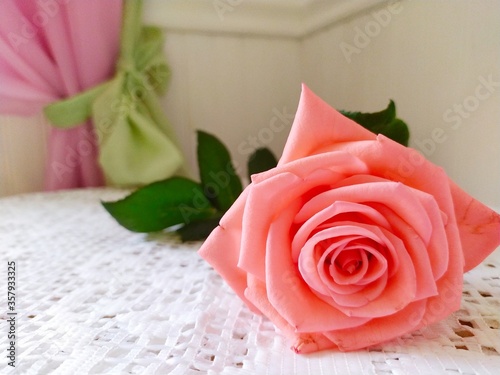 Pink rose on the white tablecloth