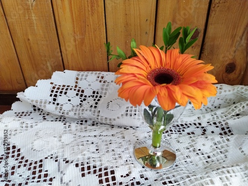 Red orange flower gerber in the glass on the white lacetablecloth  photo