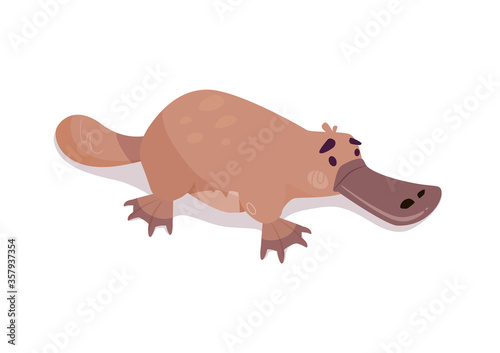 Platypus vector, aquatic mammal animal. Funny beast from Australian series. Fluffy animal in cartoon style isolated on white background. Illustrations for children's books, encyclopedias, posters