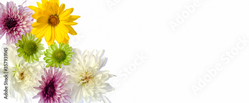 Fototapeta Naklejka Na Ścianę i Meble -  Colorful Flowers on White Background with Copy Space