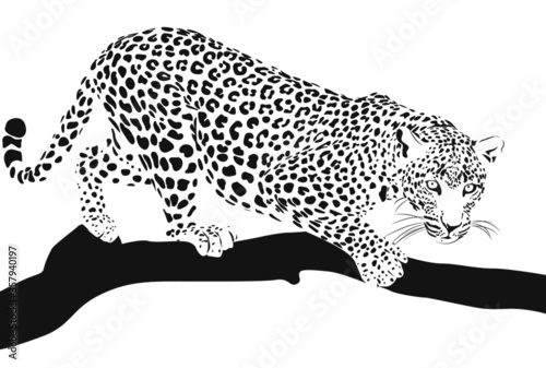 leopard on a branch black and white drawing logo