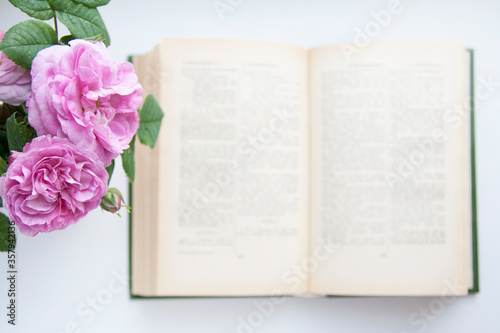 garden rose flowers and open bible in the background