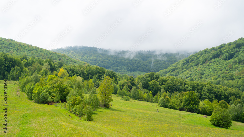 View of Mount Pikuy. way up the mountain through a green meadow and forest. clouds over the mountains. fog over forest