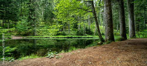 Landscape Panorama Background - Idyllic little lake in the middle of the forest surrounded by trees (Black forest Germany)