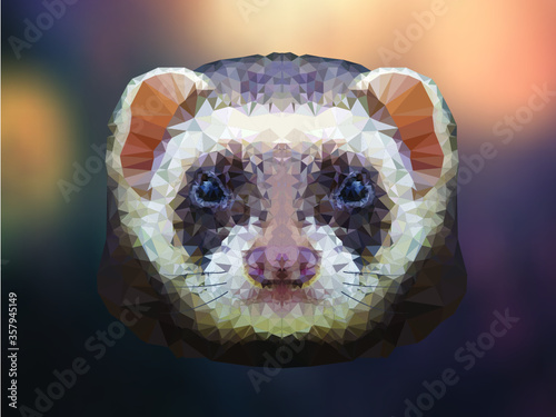 polygonal triangular geometric head of ferret on soft blurred background vector illustration
