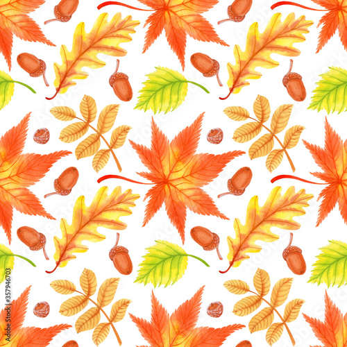 Seamless pattern with watercolor autumn maple, birch, oak, wild rose leaves and acorns. Perfect for greetings, invitations, manufacture wrapping paper, textile, wedding and web design.