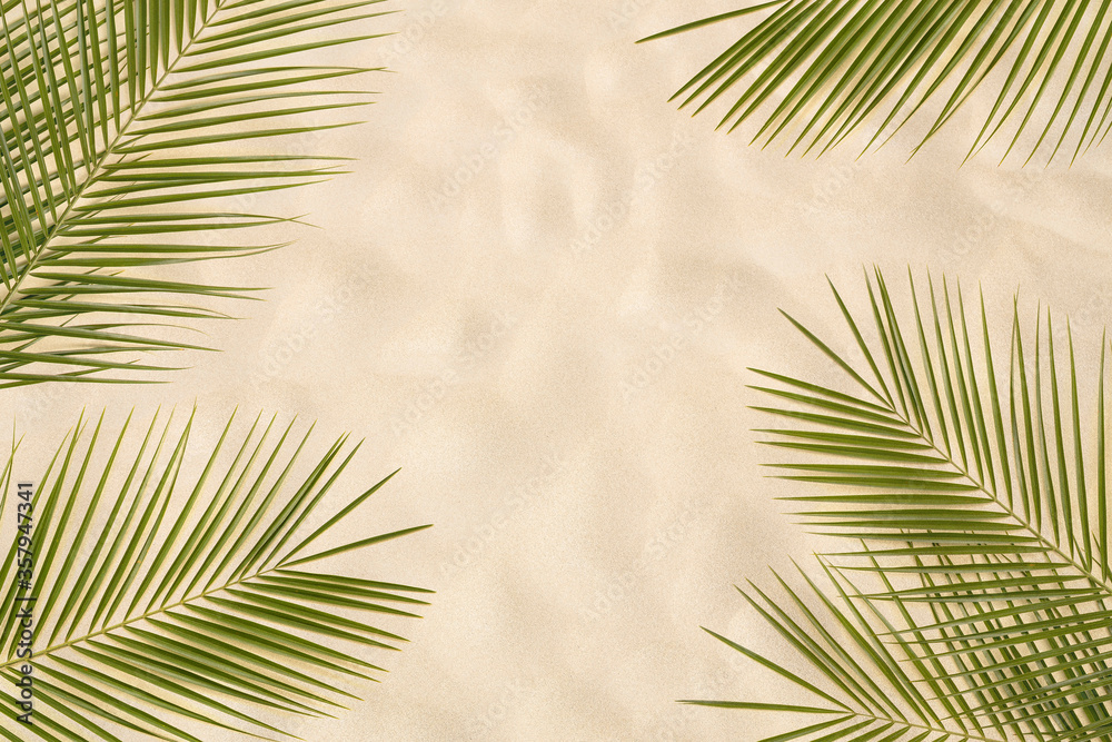 Fototapeta premium Palm leaves