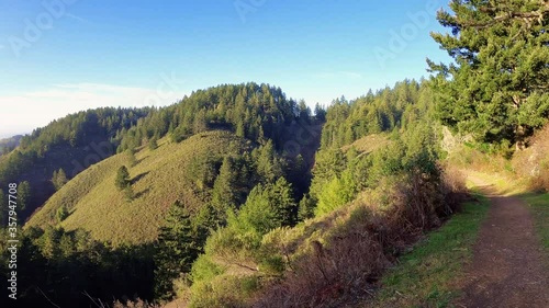 Hiking trail following the edge of a canyon in Purisima Creek Redwoods Preserve, Santa Cruz mountains, California