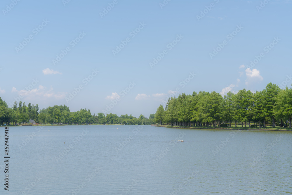 Fototapeta premium 晴天の公園