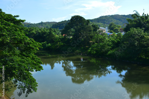 Tamparuli river with mangroves in Sabah  Malaysia