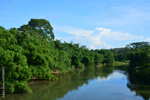 Tamparuli river with mangroves in Sabah, Malaysia