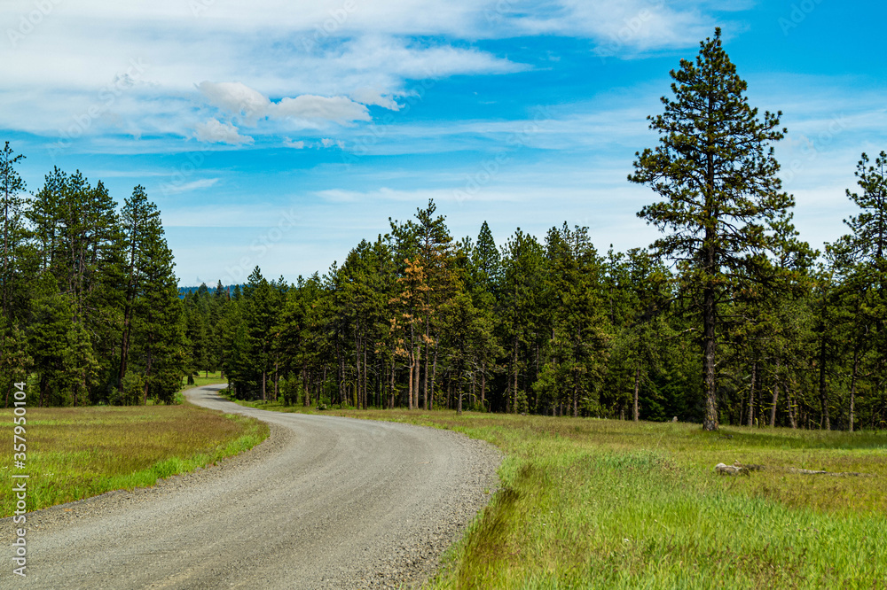 Dirt road passing through Umatilla National Forest in eastern Oregon, USA Dirt road passing through Umatilla National Forest in eastern Oregon, USA