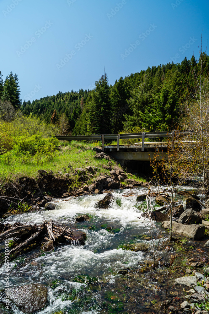Ladd Creek flowing under Ladd Creek Bridge in eastern Oregon, USA Ladd Creek flowing under Ladd Creek Bridge in eastern Oregon, USA