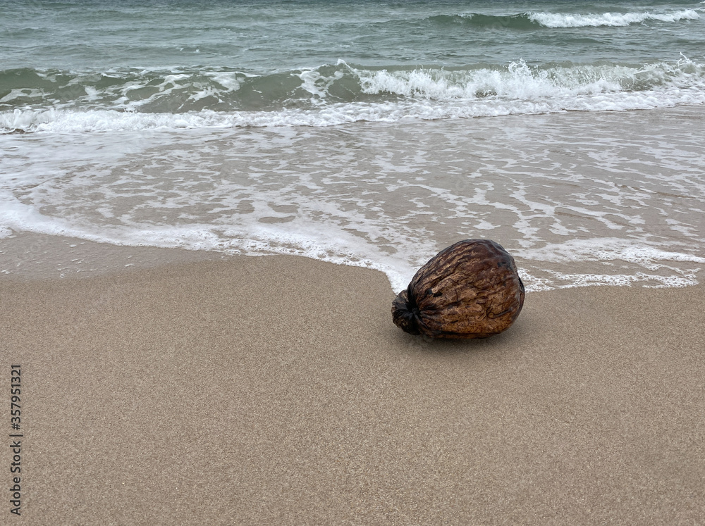 A background of a coconut in front of the ocean