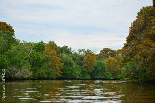 Klias River in Sabah, Malaysia