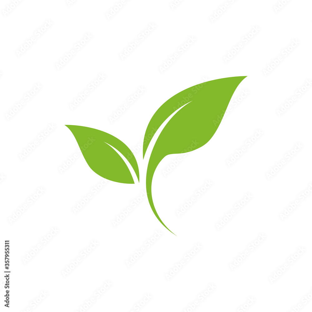 Fototapeta Green Leaf Company Logo Design Template.