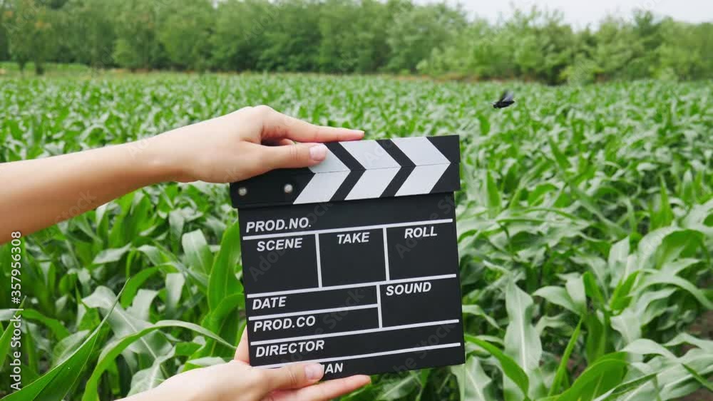 Close up female hold in hand wooden director black film making clapperboard on a cornfield. Cinematography production concept. Agricultural landscape.
