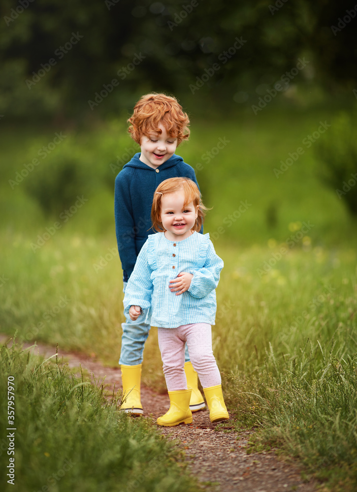 adorable smiling redhead siblings on the walk on a green meadow adorable smiling redhead siblings on the walk on a green meadow