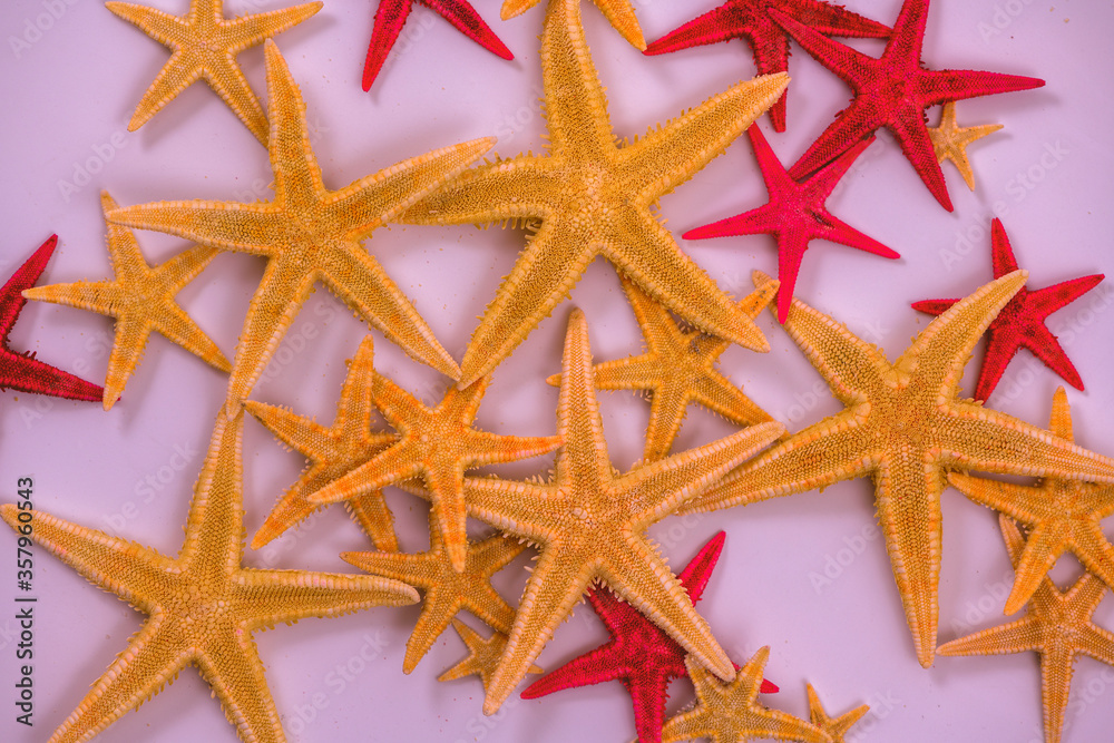Heap of starfishes. Natural colored and red dyed starfishes, top view. Heap of starfishes. Natural colored and red dyed starfishes, top view.