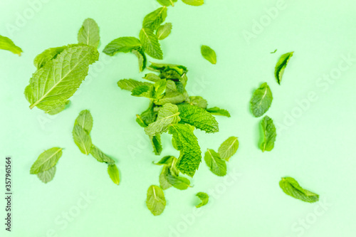 Mint leaves falling to the trendy solid green backdrop, ecology and messthetics concept, copy space photo