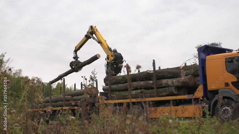 Logging Forklift Operator Truck Loading Tree Logs Sawmill Factory Aerial Drone Logging Forklift Operator Truck Loading Tree Logs Sawmill Factory Aerial Drone