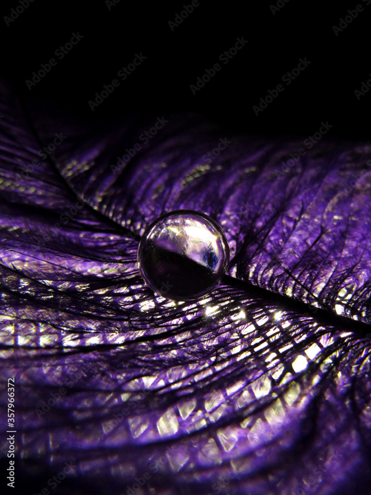 Fototapeta premium close up of crystal ball on a purple feather