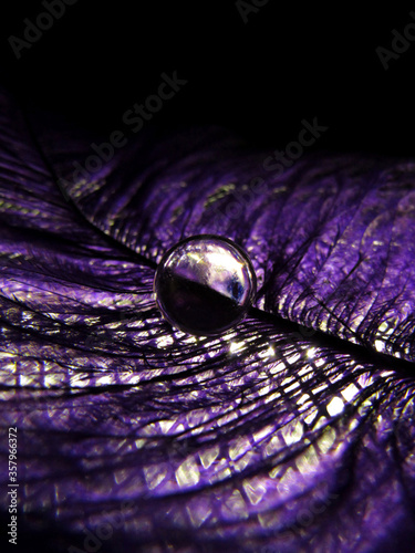 close up of crystal ball on a purple feather