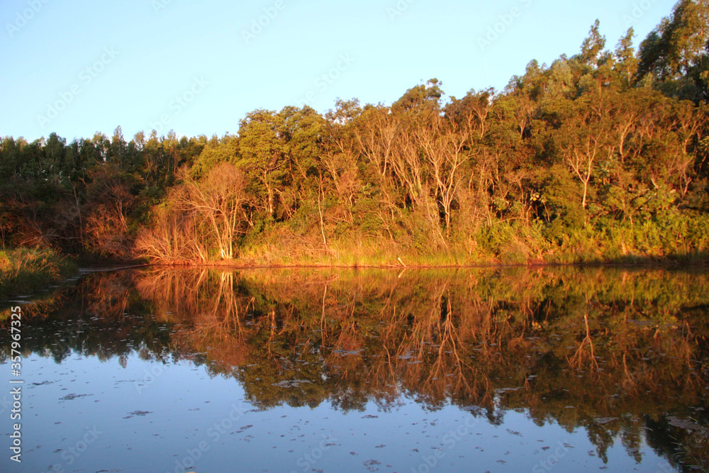 REFLECTION OF TREES IN THE LAKE DURING AUTUMN REFLECTION OF TREES IN THE LAKE DURING AUTUMN