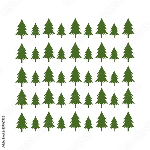 green timberland pine tree branch christmas background illustration