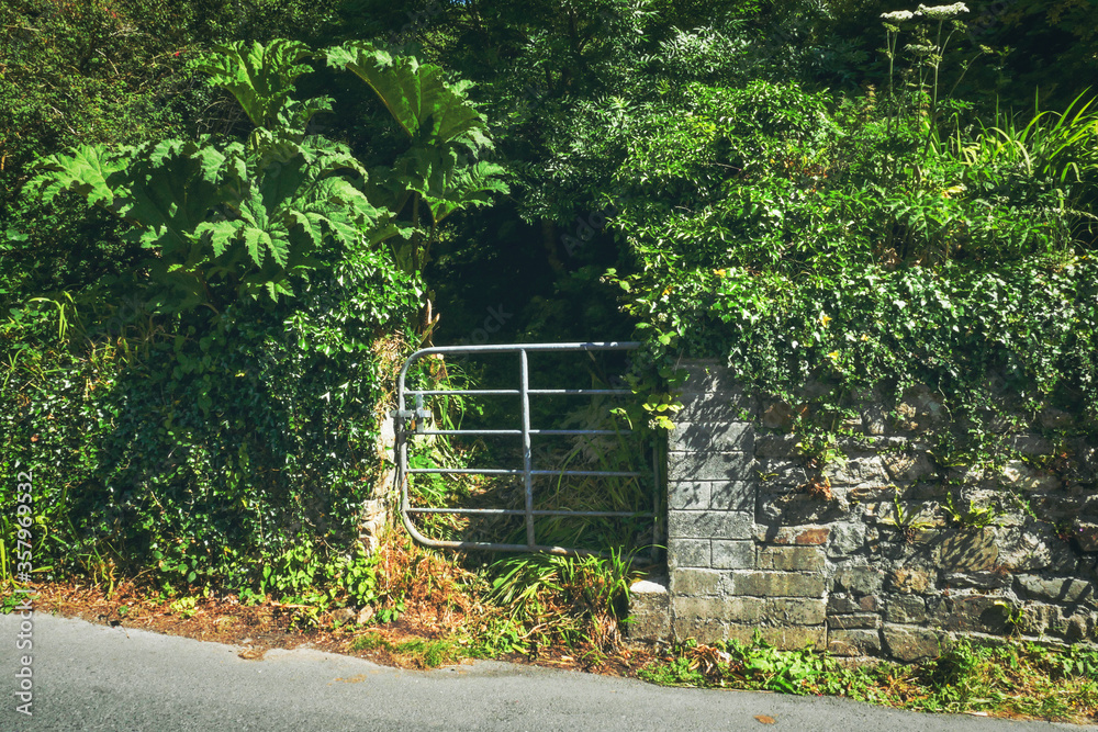 Small gate in the greenery, city of Clifden Ireland.