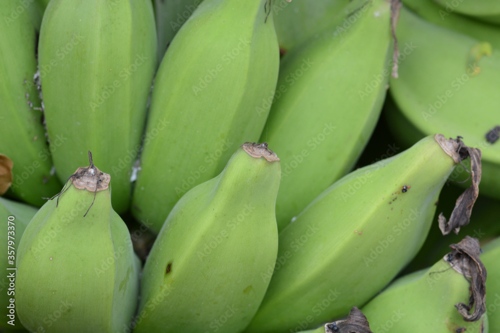 young bananas on the market