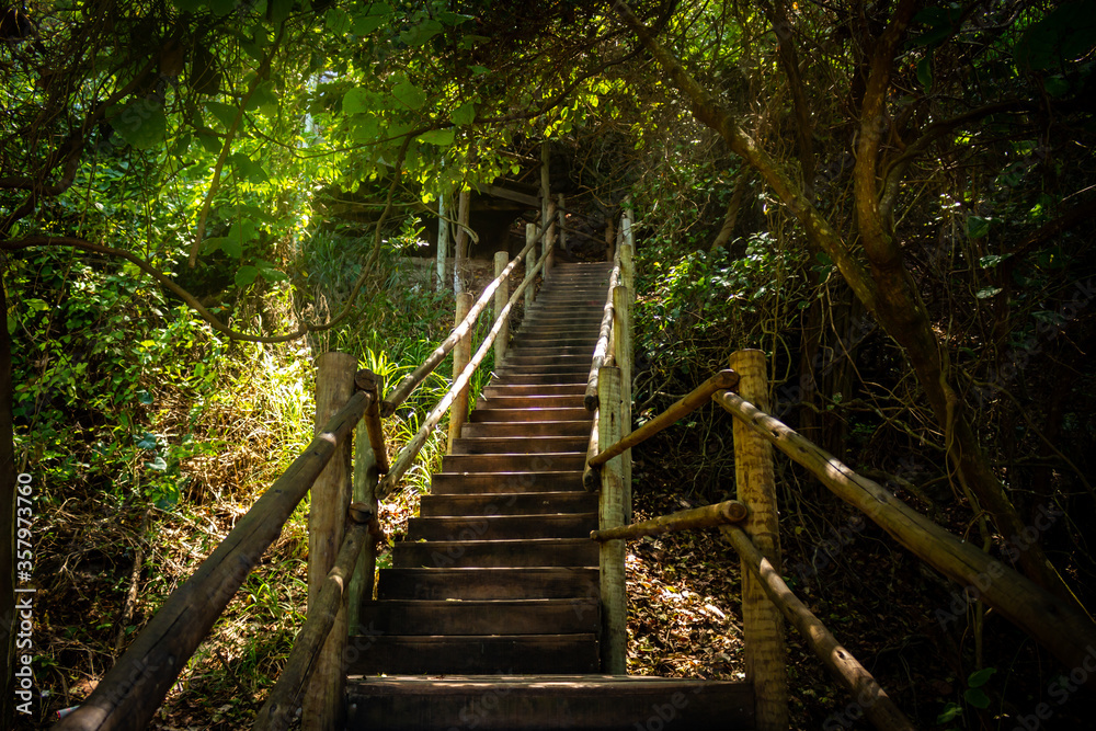 Rustic wooden staircase surrounded by lush vegetation. Wooden steps without people. Rustic wooden staircase surrounded by lush vegetation. Wooden steps without people.