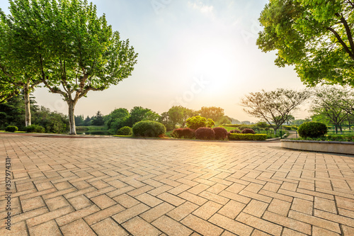 Empty square floor and green forest in natural park.