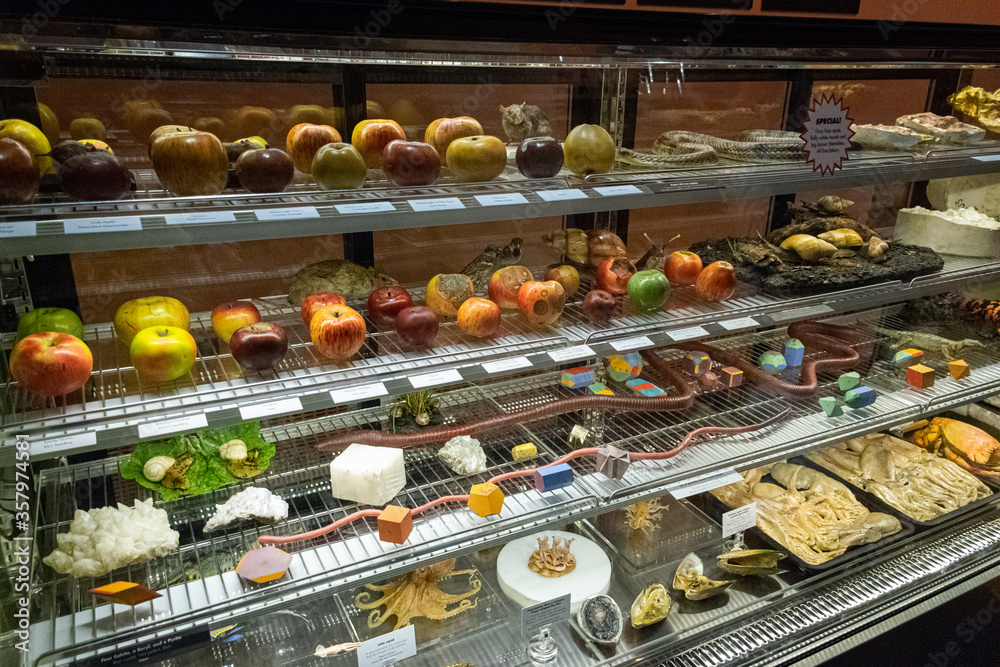 Fototapeta premium rows of fruit in a shop