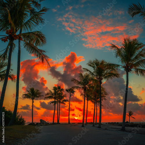 Fototapeta Naklejka Na Ścianę i Meble -  sunrise  over the beach sunset tropical miami florida palm summer 