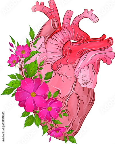 pink Apple blossom and human heart
