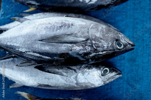 Fresh raw baby tuna fish for sale at local seafood market © Heri Mardinal