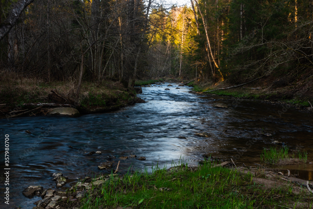 small river in forest with stones at sunset small river in forest with stones at sunset