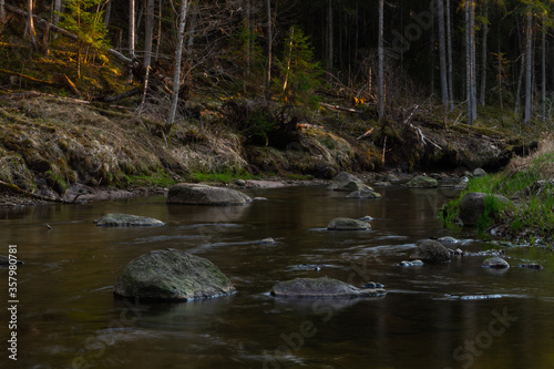 small river in forest with stones at sunset