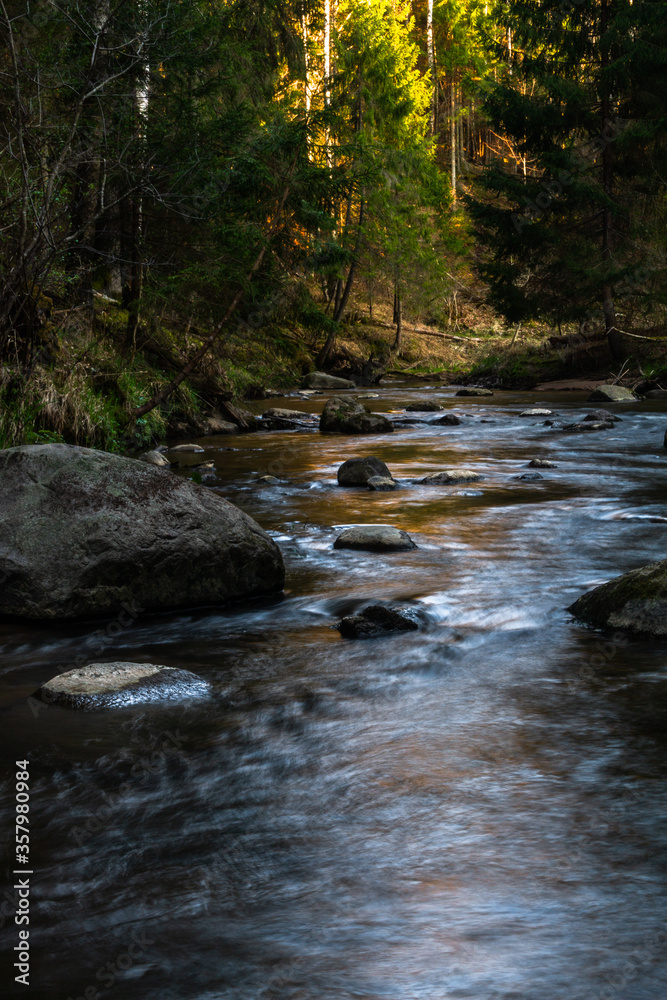 small river in forest with stones at sunset small river in forest with stones at sunset