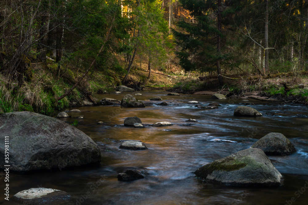small river in forest with stones at sunset small river in forest with stones at sunset