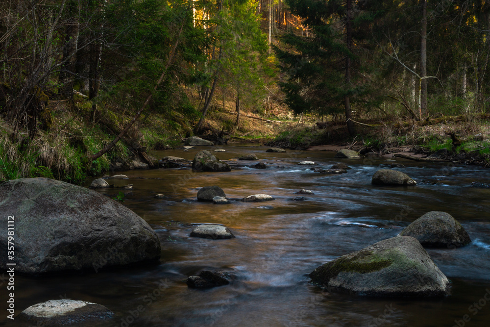 small river in forest with stones at sunset small river in forest with stones at sunset