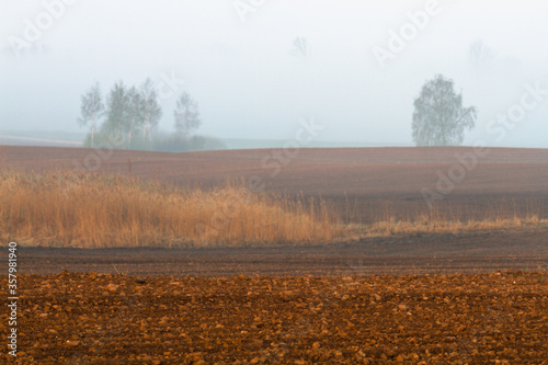  Cultivated land in early spring