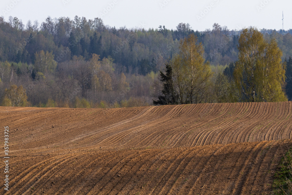  Cultivated land in early spring