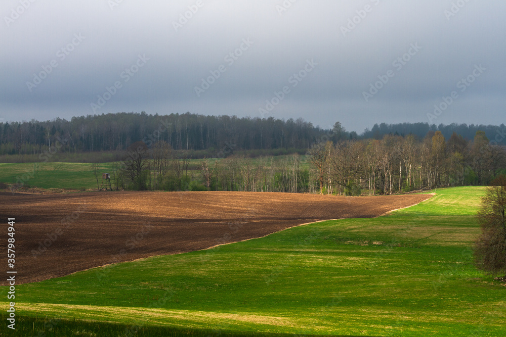 Cultivated land in early spring Cultivated land in early spring